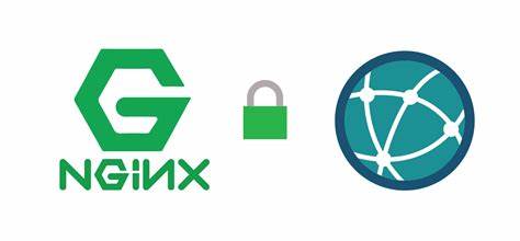 如何使用纯 Nginx 打造 IP 地址查询接口